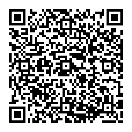 79657005341