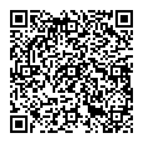 79657005382