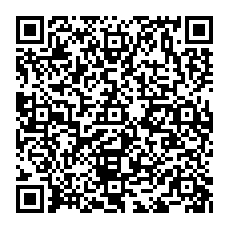 79657302381