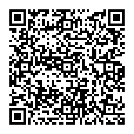 79657304212