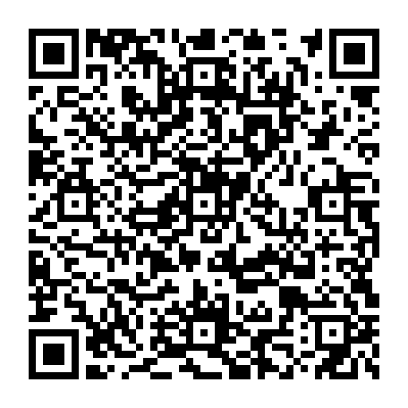 79657304499