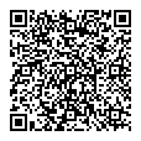 79657311651