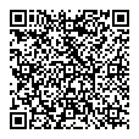 79658200063