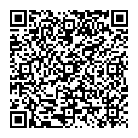 79658350062