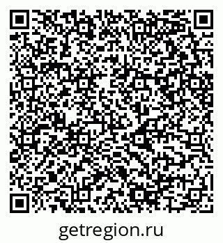 79658595566