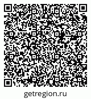 79658599538