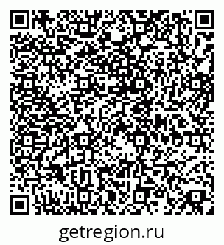 79658653544