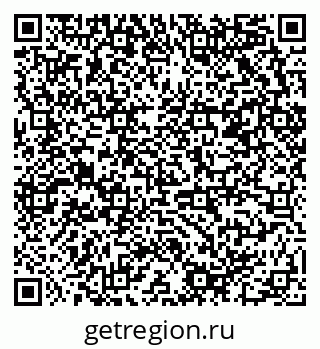 79658800288