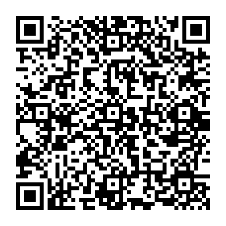 79662405338