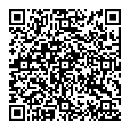 79662501856