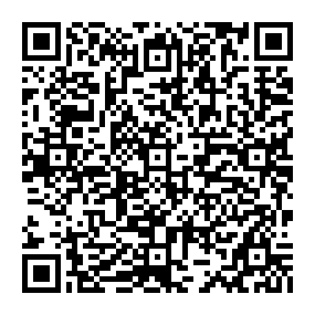79664441541