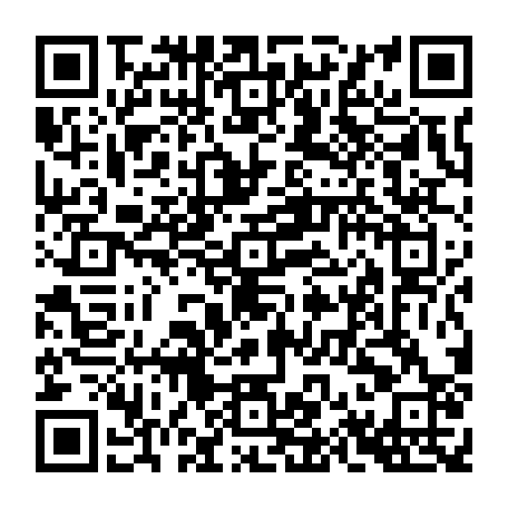 79666003699