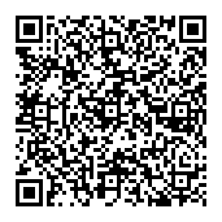 79666004295