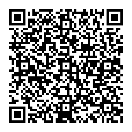 79666004688