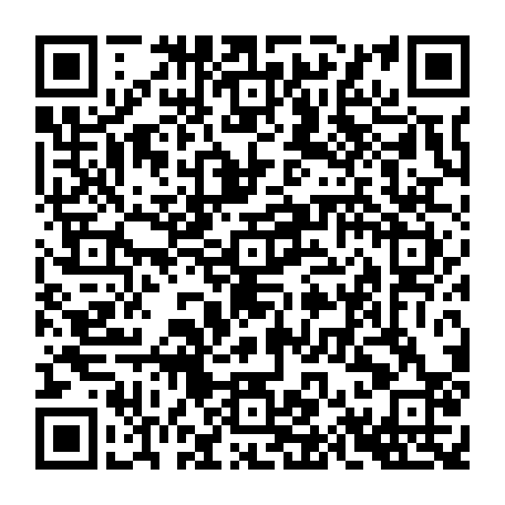 79666004771