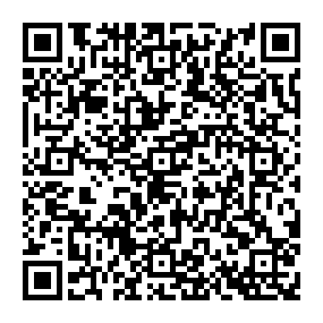 79666004795