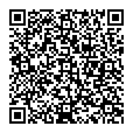 79666005381