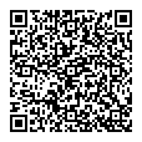 79666005504