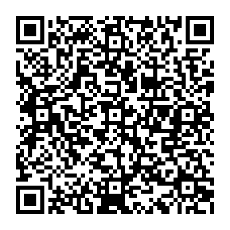 79666005538