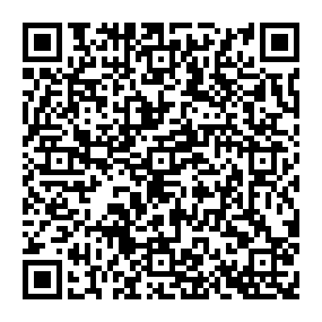 79666005833