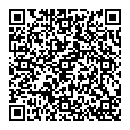 79666006561