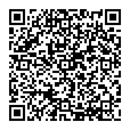 79666007955