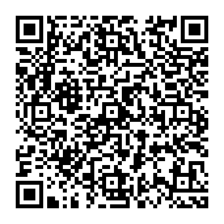 79666663117