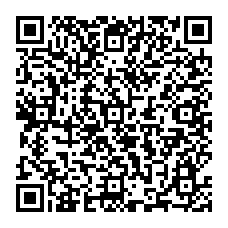 79666663293