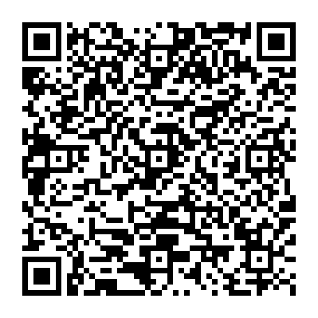 79666663295