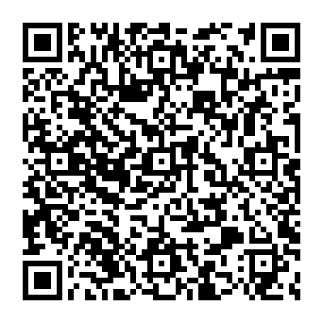 79666669384