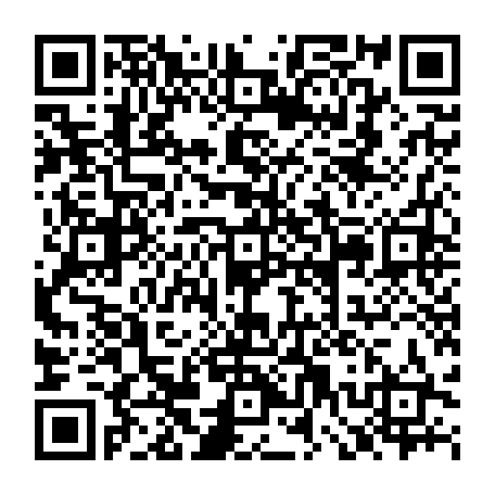 79666901329