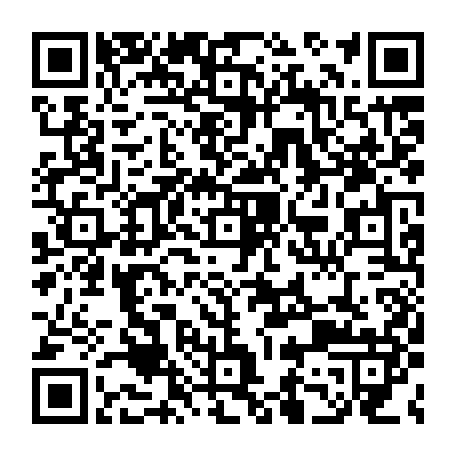 79666901338