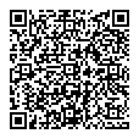 79667200534