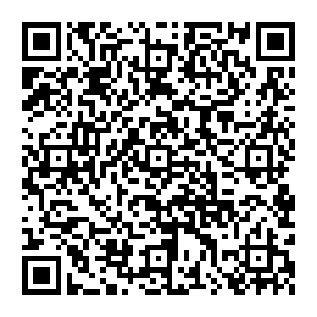 79667200538