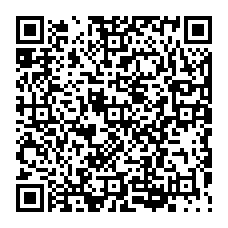 79667302291