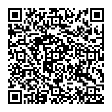 79667302336