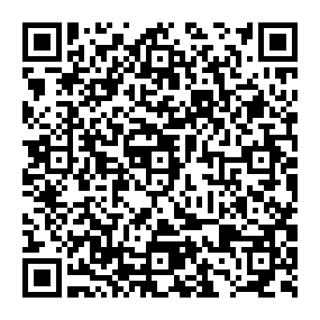79667304017