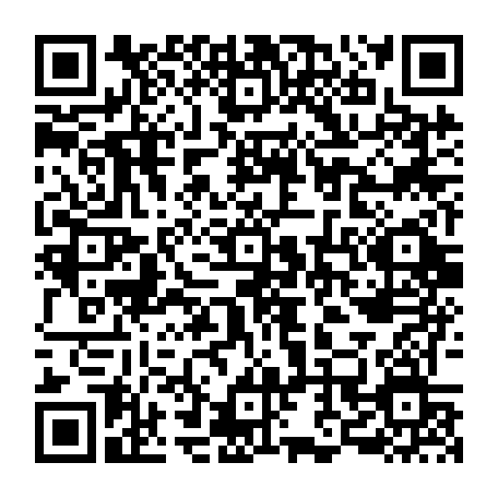 79667304167