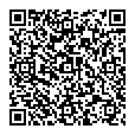 79667400036