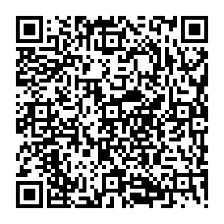 79667401291