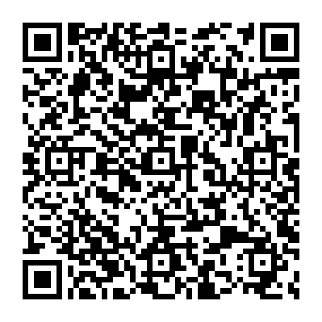 79667401294