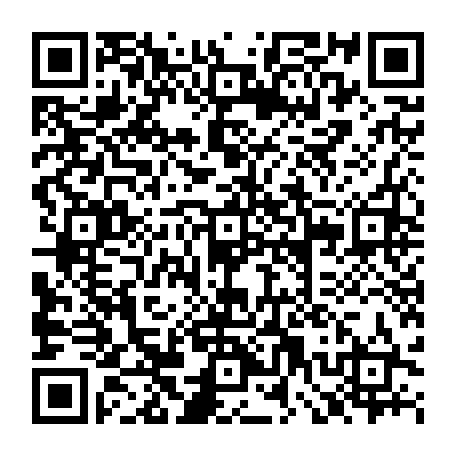 79667502901