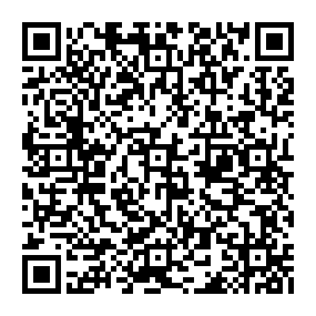 79667502953