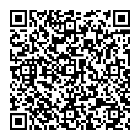 79667600785
