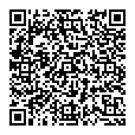 79667600817