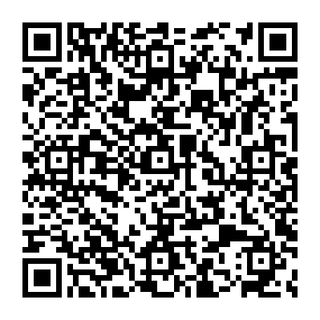 79667600831