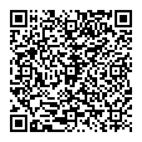 79667661955