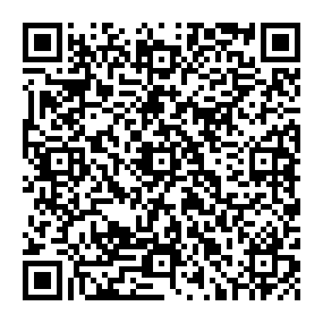 79667690041