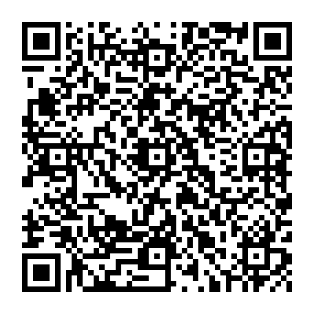 79667691153