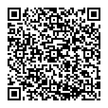 79667800905